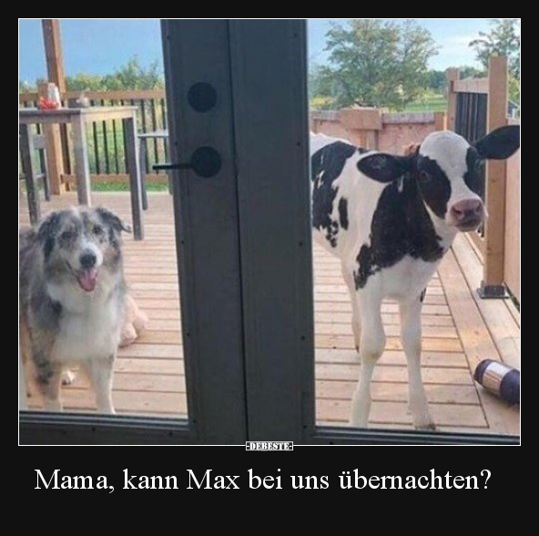 Mama, kann Max bei uns übernachten?.. - Lustige Bilder | DEBESTE.de