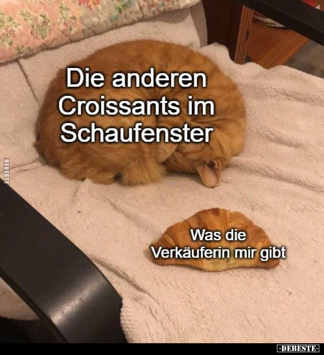  - Lustige Bilder | DEBESTE.de