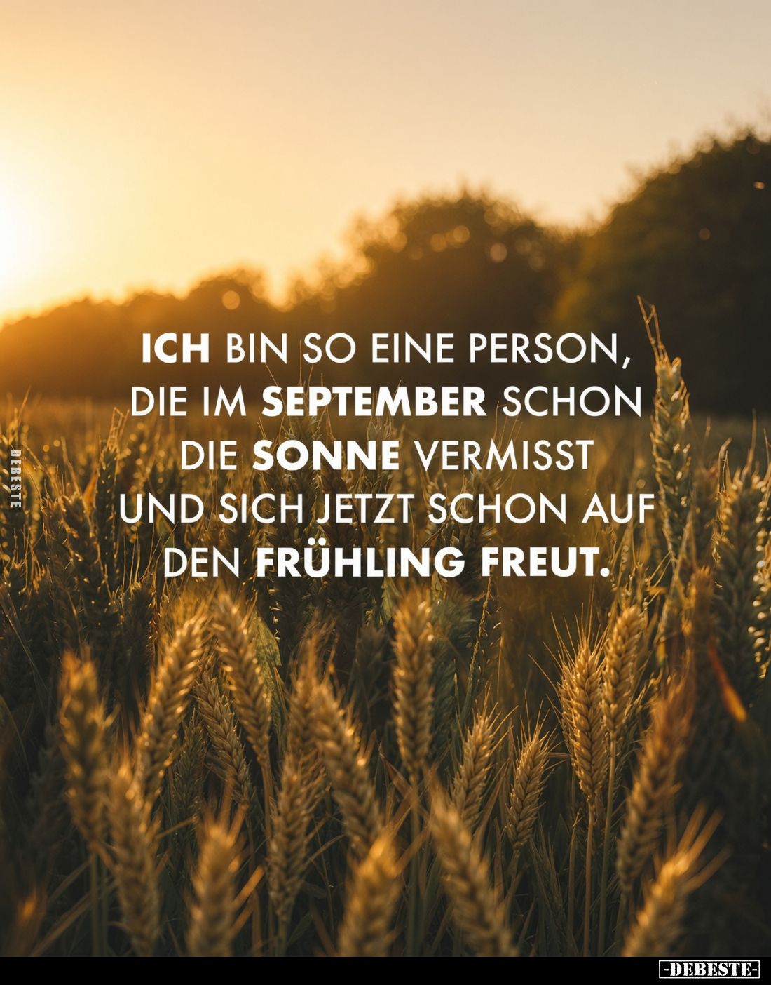 Ich bin so eine Person, die im September schon die Sonne vermisst und sich jetzt schon auf den Frühling freut.