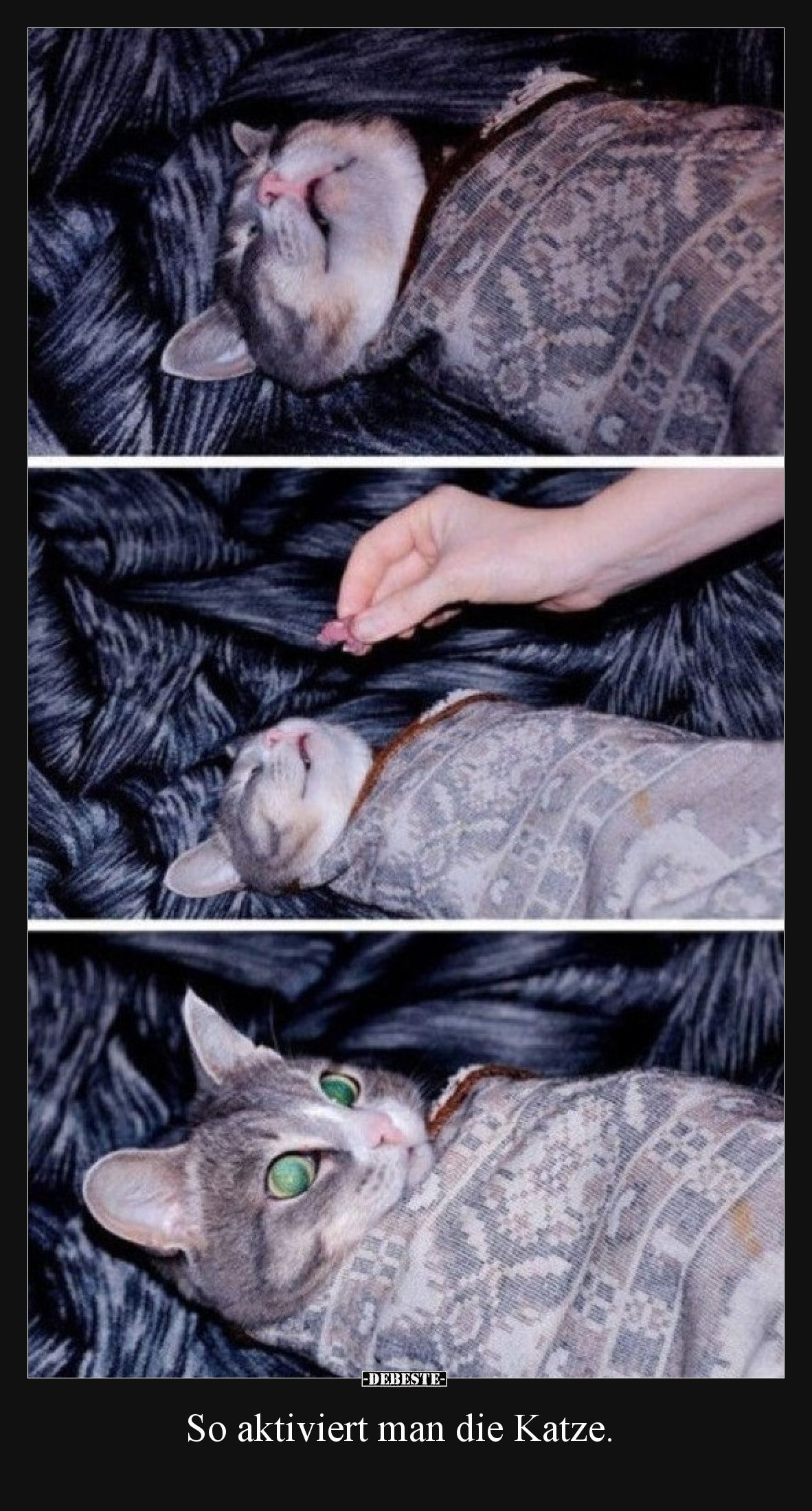 So aktiviert man die Katze.