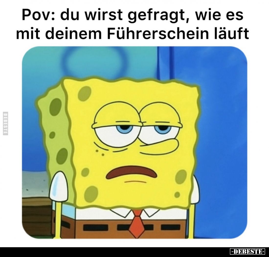 Pov: du wirst gefragt, wie es mit deinem Führerschein läuft.