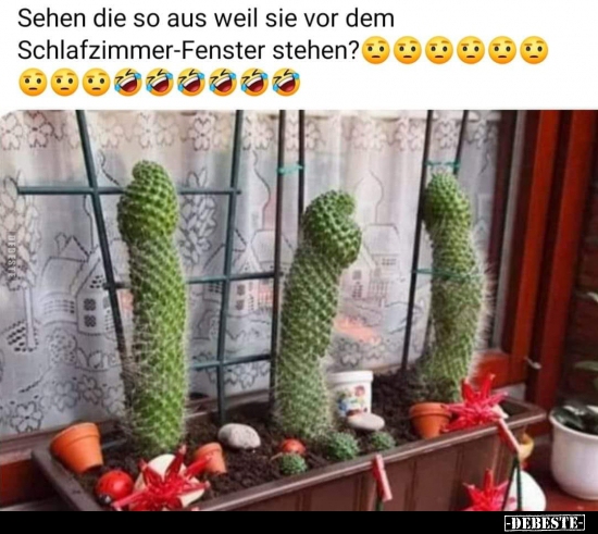 Sehen die so aus weil sie vor dem Schlafzimmer-Fenster.. - Lustige Bilder | DEBESTE.de