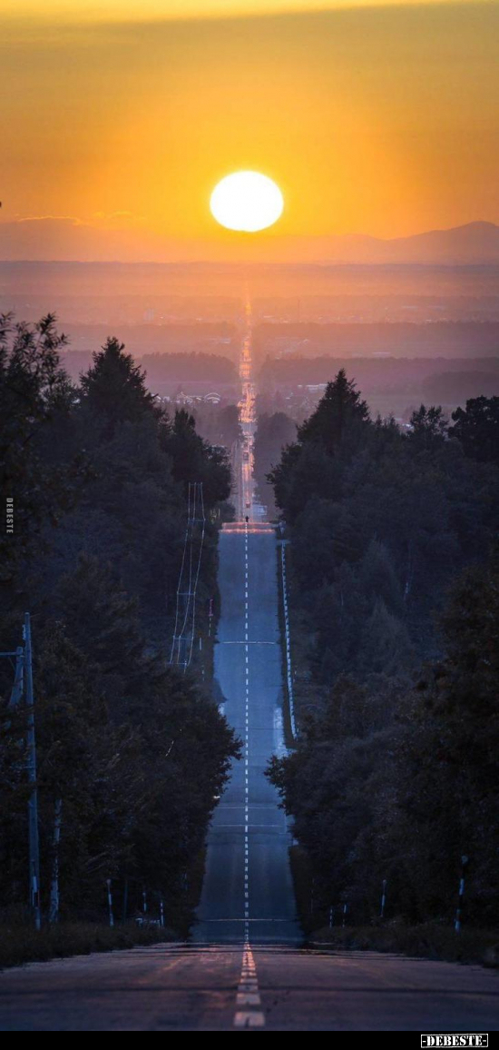  - Lustige Bilder | DEBESTE.de