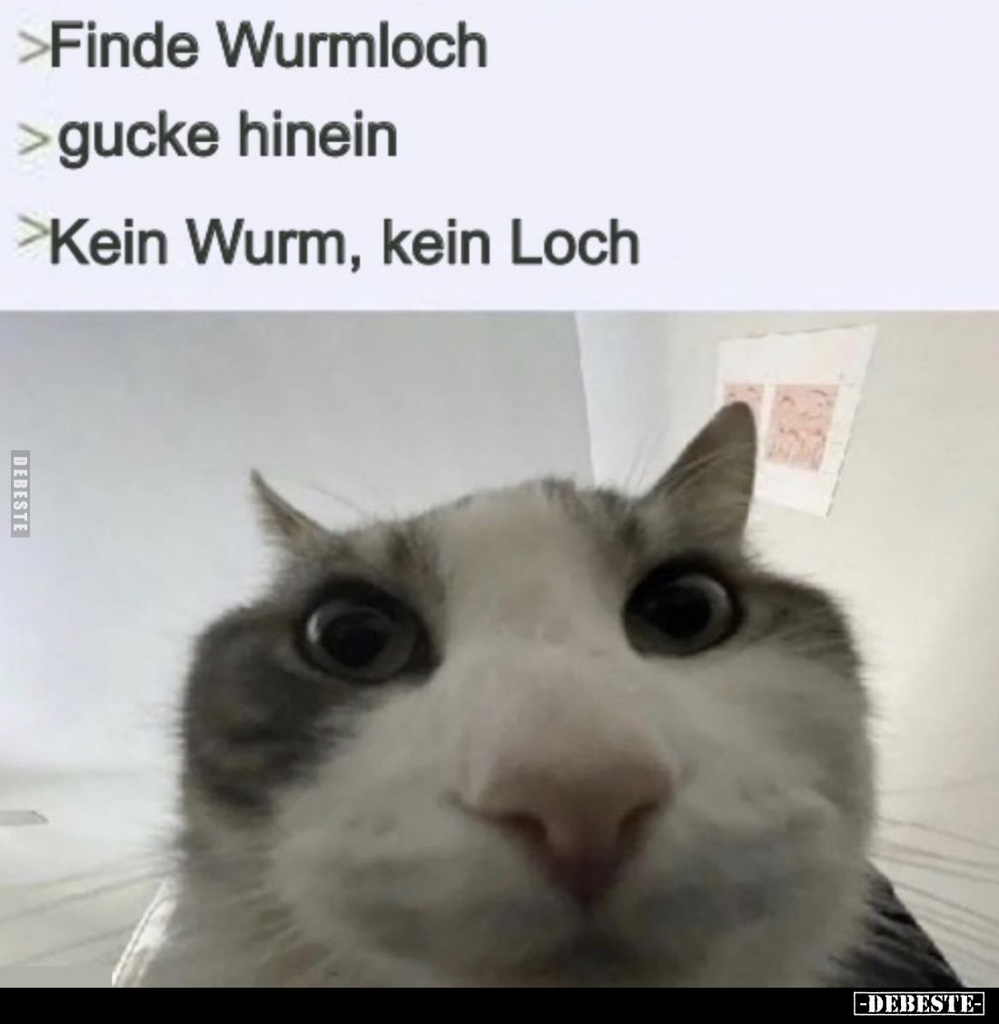 > Finde Wurmloch
> gucke hinein
> Kein Wurm, kein Loch