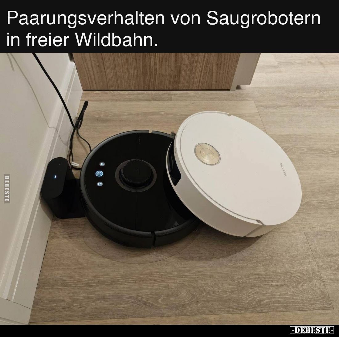 Paarungsverhalten von Saugrobotern in freier Wildbahn... - Lustige Bilder | DEBESTE.de