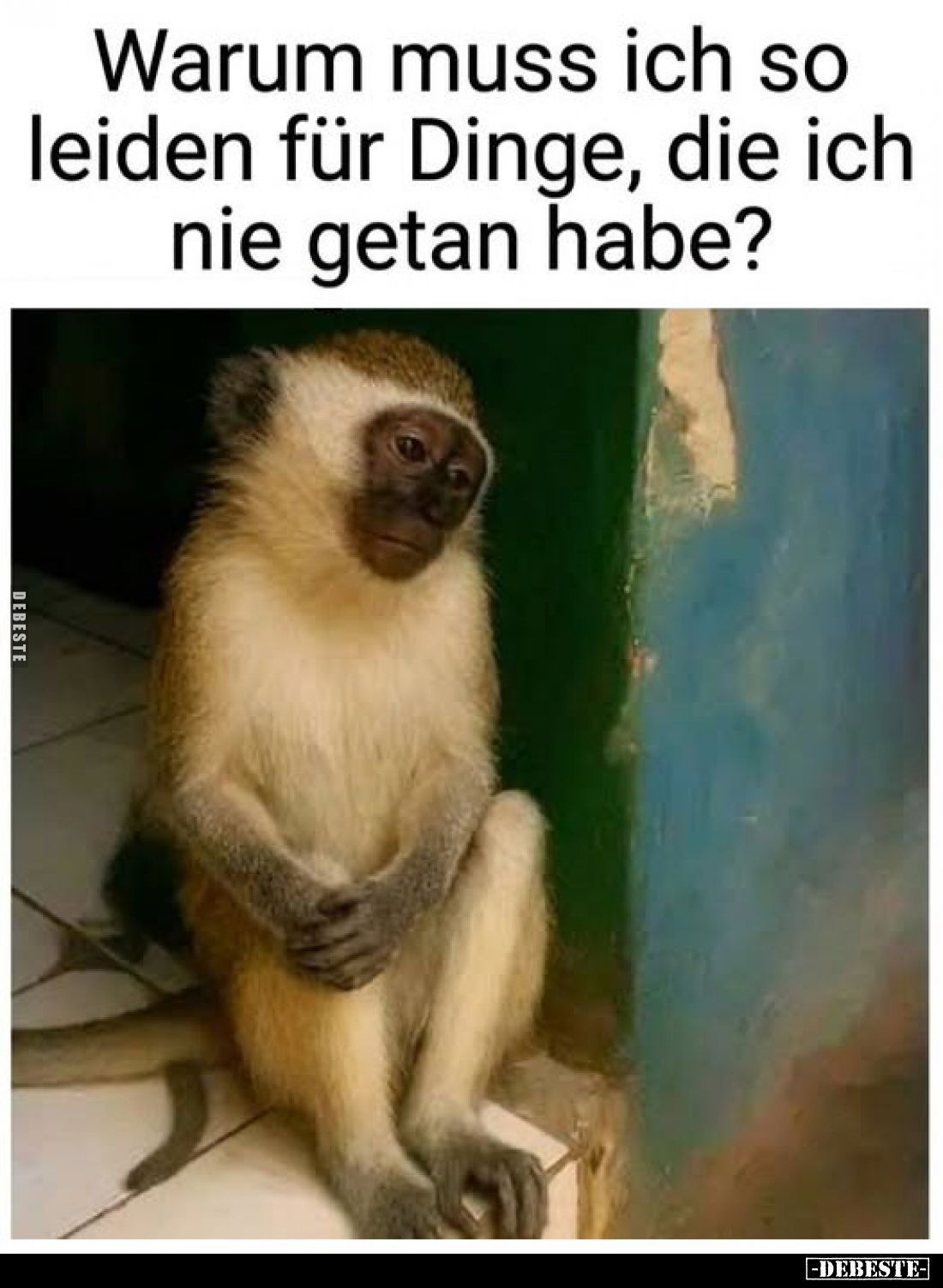 Warum muss ich so leiden für Dinge, die ich nie getan habe?