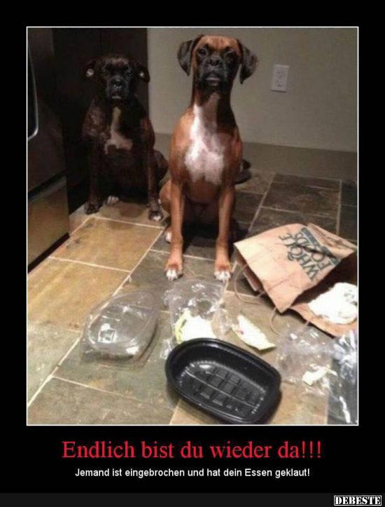 Endlich bist du wieder da!