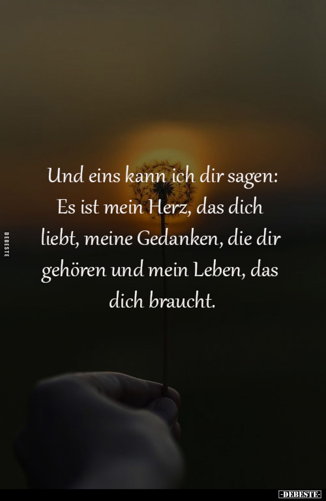 Und eins kann ich dir sagen:
Es ist mein Herz, das dich 
liebt, meine Gedanken, die dir 
gehören und mein Leben, das 
dic...