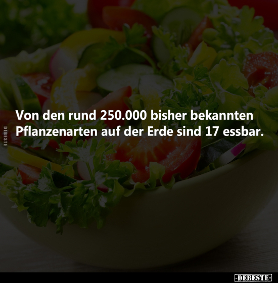 Von den rund 250.000 bisher bekannten Pflanzenarten.. - Lustige Bilder | DEBESTE.de