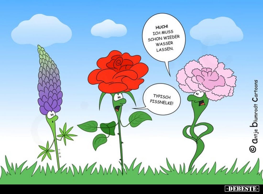 Huch! Ich muss schon wieder Wasser lassen.
- Typisch Pissnelke!
