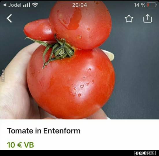 Tomate in Entenform..