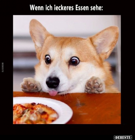Wenn ich leckeres Essen sehe.. - Lustige Bilder | DEBESTE.de