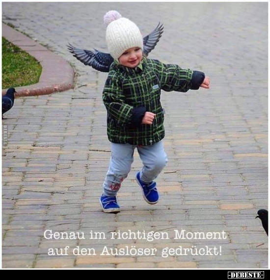 Genau im richtigen Moment auf den Auslöser gedrückt!
