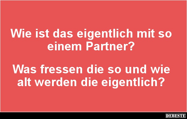 Wie ist das eigentlich mit so einem Partner? - Lustige Bilder | DEBESTE.de