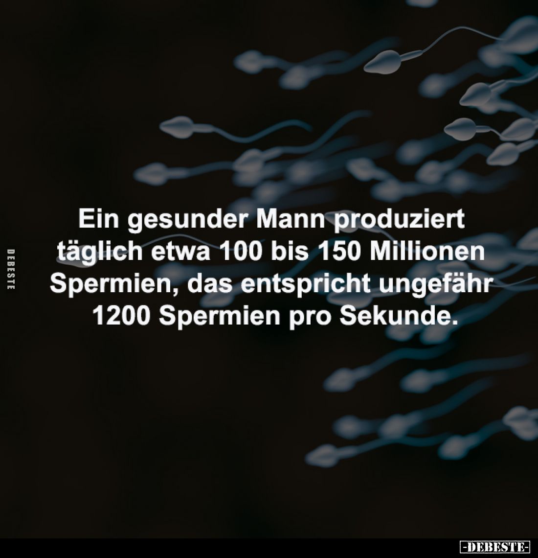 Ein gesunder Mann produziert 
täglich etwa 100 bis 150 Millionen 
Spermien, das entspricht ungefähr 
1200 Spermien pro Sek...