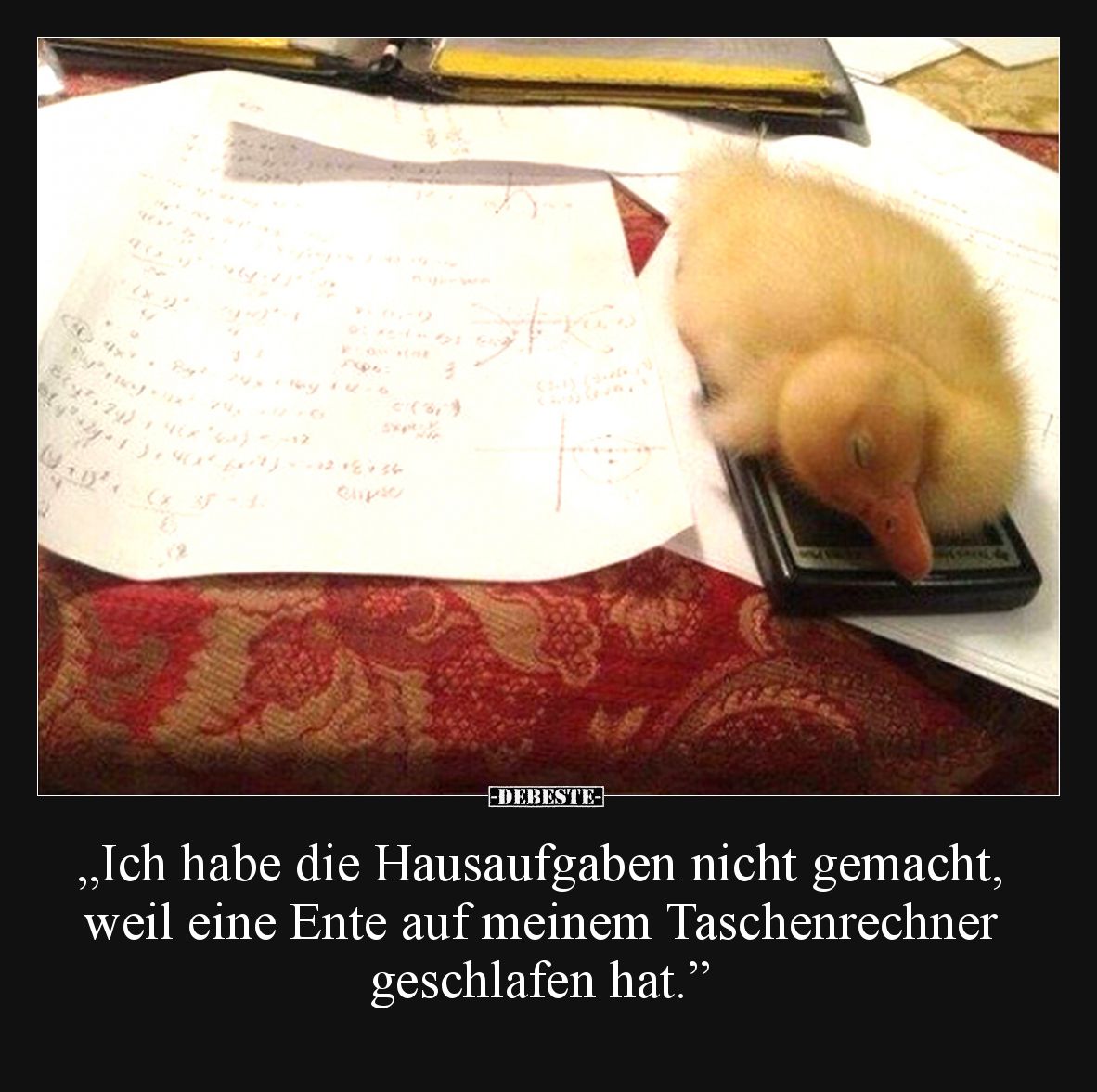 „Ich habe die Hausaufgaben nicht gemacht, weil eine Ente auf meinem Taschenrechner geschlafen hat.”