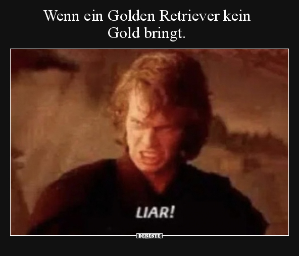 Wenn ein Golden Retriever kein Gold bringt... - Lustige Bilder | DEBESTE.de