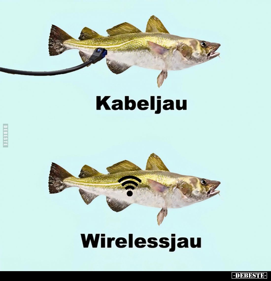 Kabeljau und
Wirelessjau.