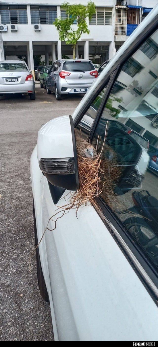  - Lustige Bilder | DEBESTE.de