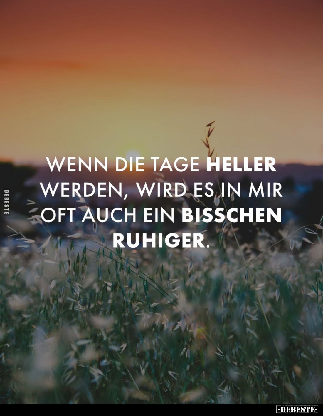 Wenn die Tage heller werden, wird es in mir oft auch ein.. - Lustige Bilder | DEBESTE.de