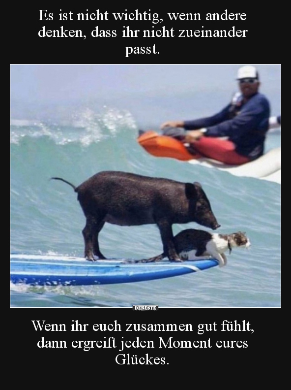 Es ist nicht wichtig, wenn andere denken, dass ihr nicht..