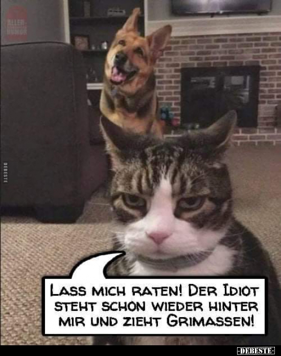 Lass mich raten! Der Idiot steht schon wieder hinter mir.. - Lustige Bilder | DEBESTE.de