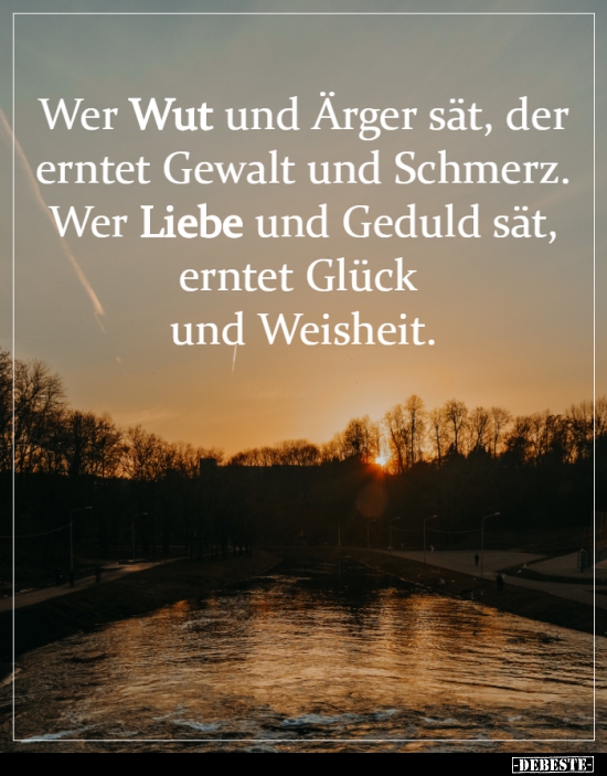 Wer Wut und Ärger sät, der erntet Gewalt und Schmerz... - Lustige Bilder | DEBESTE.de
