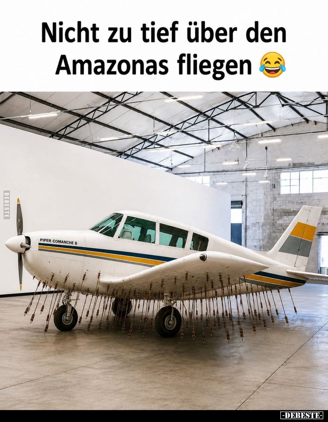 Nicht zu tief über den Amazonas fliegen.
