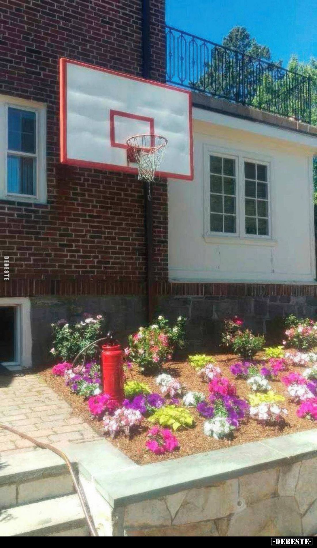  - Lustige Bilder | DEBESTE.de