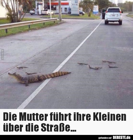 Die Mutter führt ihre Kleinen über die Straße...