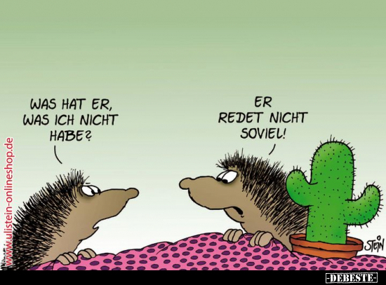 Was hat er, was ich nicht habe?..