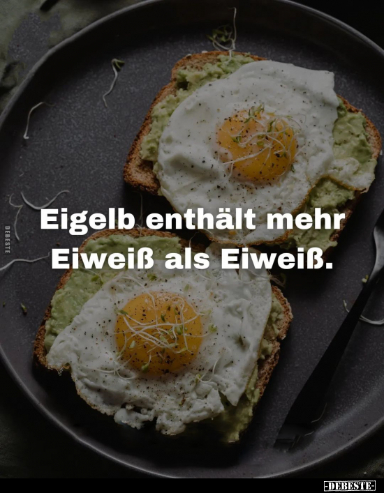 Eigelb enthält mehr Eiweiß als Eiweiß... - Lustige Bilder | DEBESTE.de
