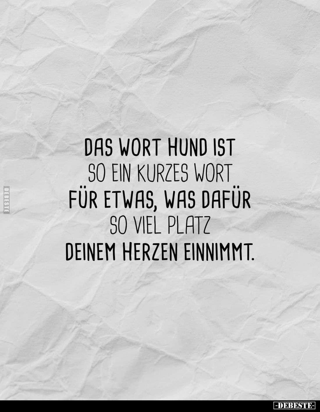 Das Wort Hund ist so ein kurzes Wort für etwas, was dafür.. - Lustige Bilder | DEBESTE.de