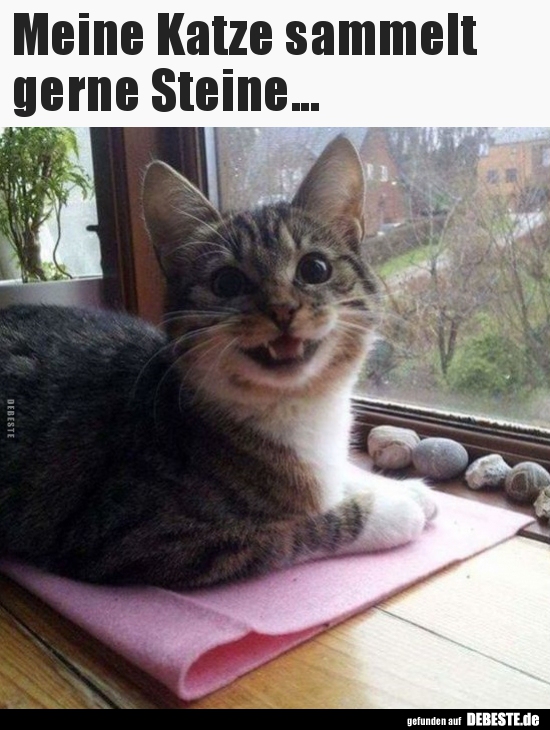 Meine Katze sammelt gerne Steine...