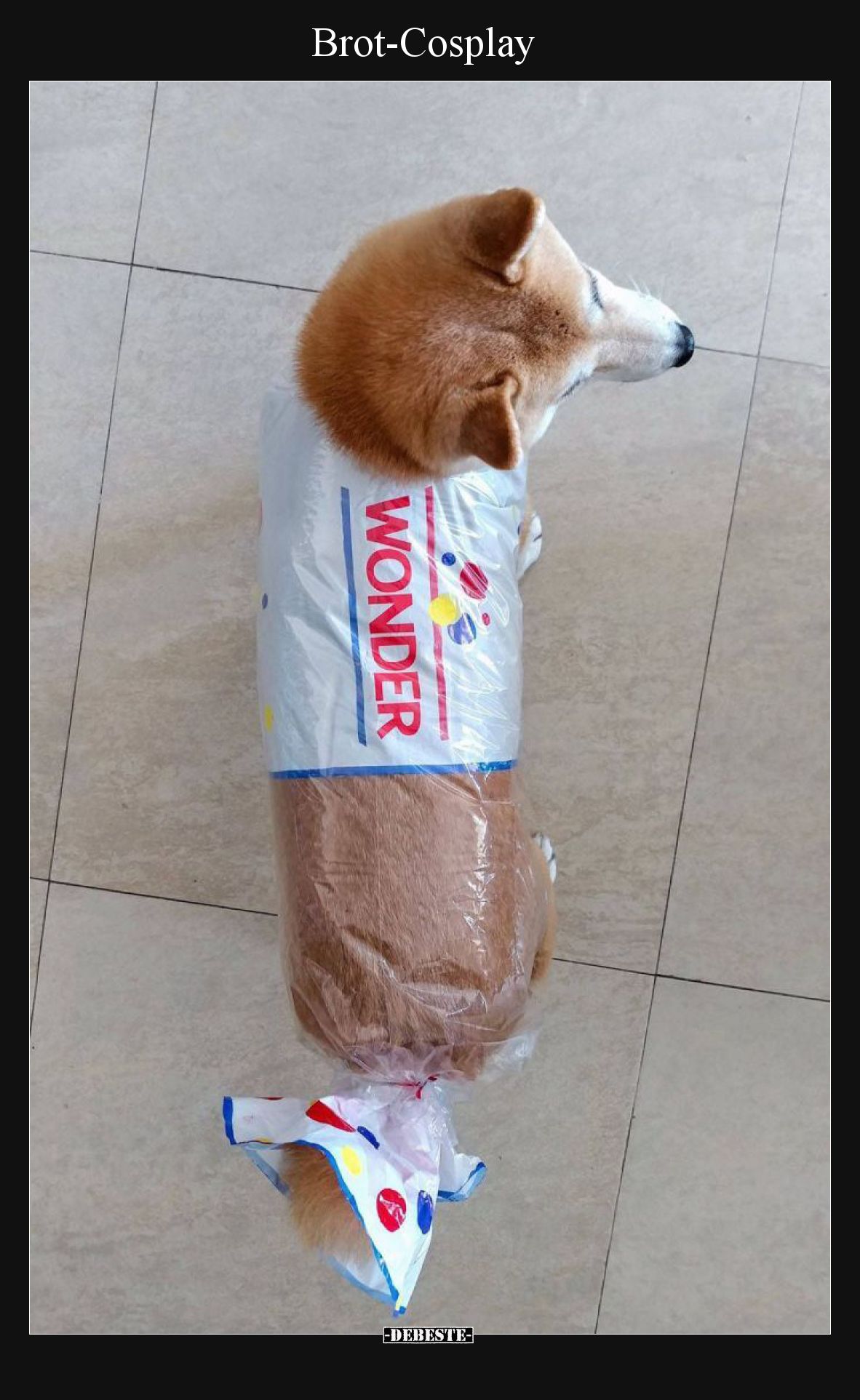 Brot-Cosplay.. - Lustige Bilder | DEBESTE.de