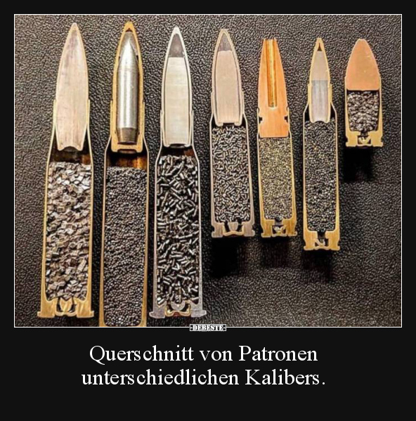 Querschnitt von Patronen unterschiedlichen Kalibers... - Lustige Bilder | DEBESTE.de