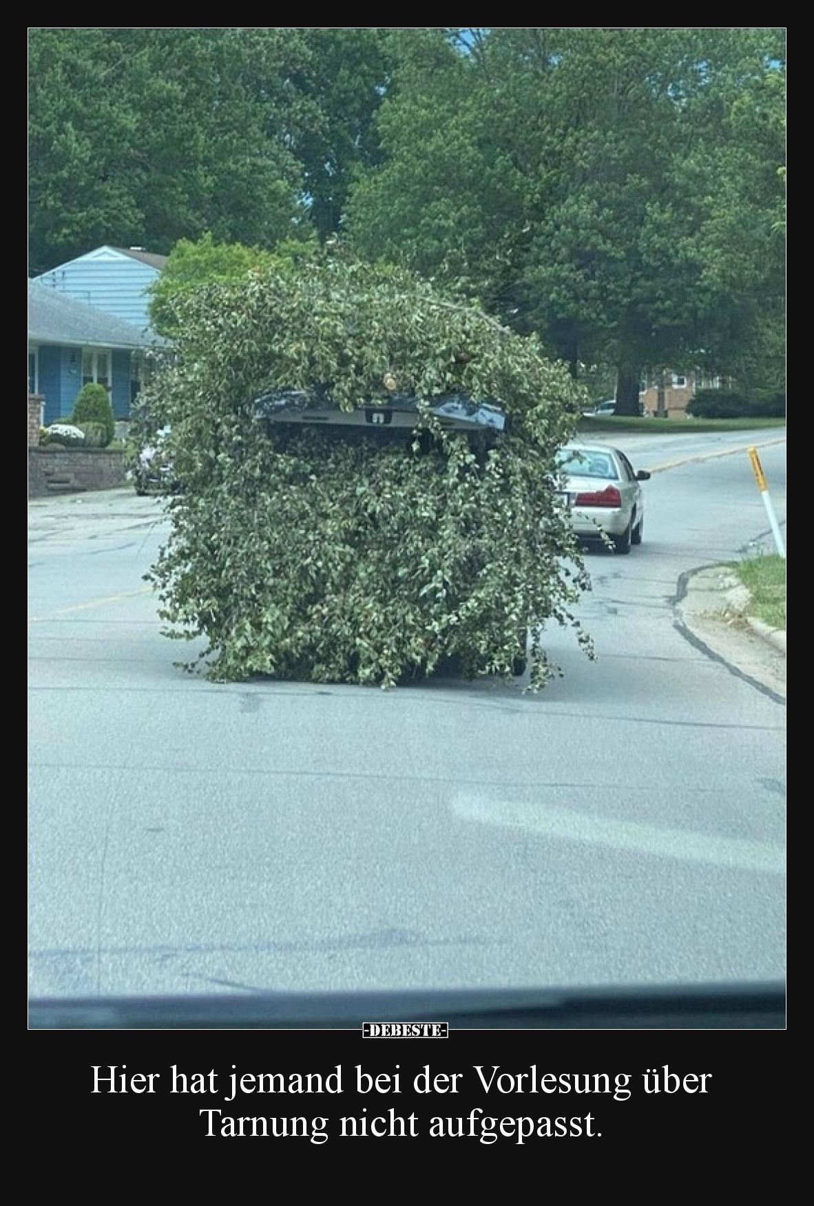 Hier hat jemand bei der Vorlesung über Tarnung nicht aufgepasst.