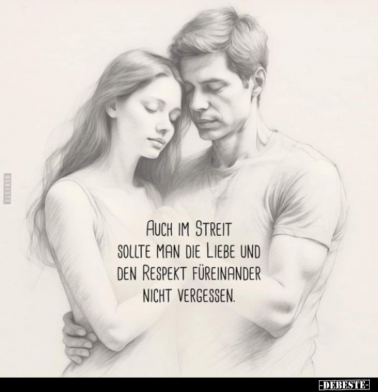 Auch im Streit sollte man die Liebe und den Respekt.. - Lustige Bilder | DEBESTE.de