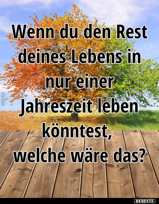 Wenn du den Rest deines Lebens in nur einer Jahreszeit.. - Lustige Bilder | DEBESTE.de