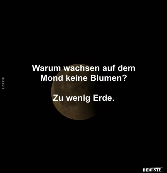 Warum wachsen auf dem Mond keine Blumen?..