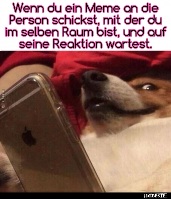 Wenn du ein Meme an die Person schickst, mit der.. - Lustige Bilder | DEBESTE.de