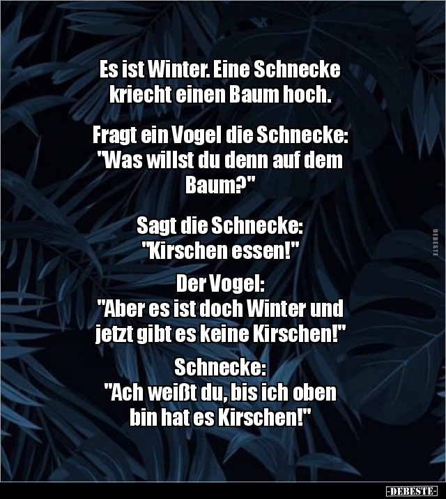 Es ist Winter. Eine Schnecke kriecht einen Baum.. - Lustige Bilder | DEBESTE.de