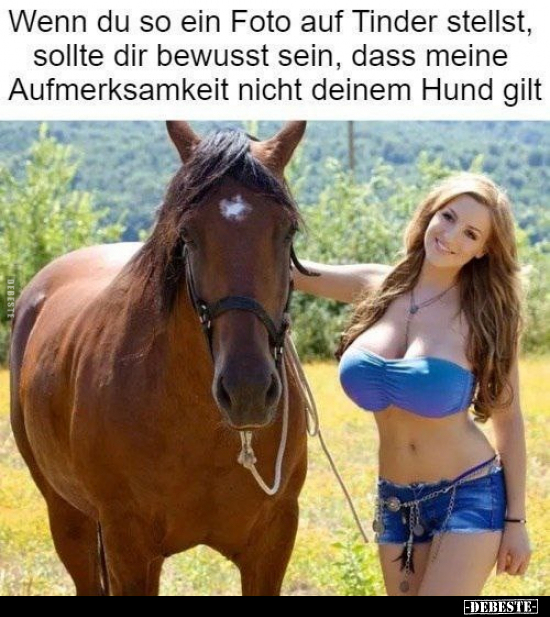 Wenn du so ein Foto auf Tinder stellst.. - Lustige Bilder | DEBESTE.de