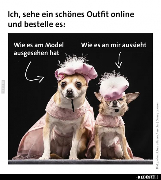 Ich, sehe ein schönes Ouffit online und bestelle es:
