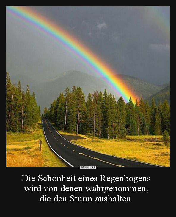 Die Schonheit Eines Regenbogens Wird Von Denen Lustige Bilder Spruche Witze Echt Lustig