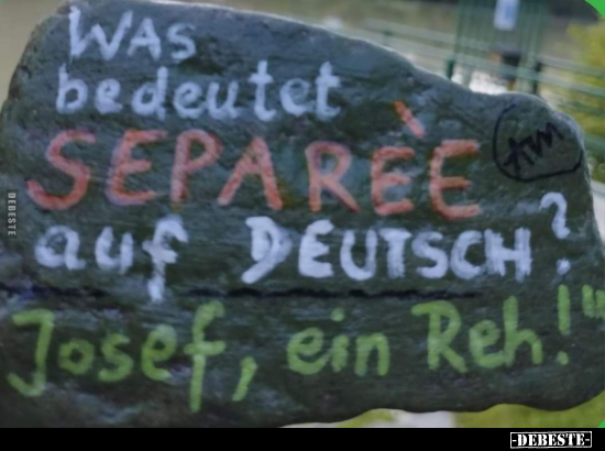 WAS bedeutet SEPAREE auf DEUTSCH?.. - Lustige Bilder | DEBESTE.de