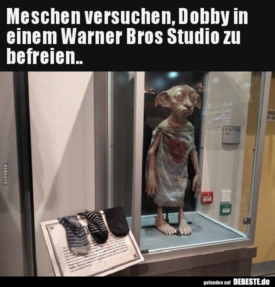 Meschen versuchen, Dobby in einem Warner Bros Studio zu.. - Lustige Bilder | DEBESTE.de