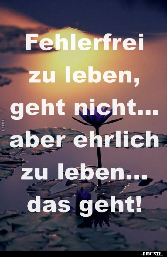 Fehlerfrei zu leben, geht nicht... aber ehrlich zu leben... das geht!