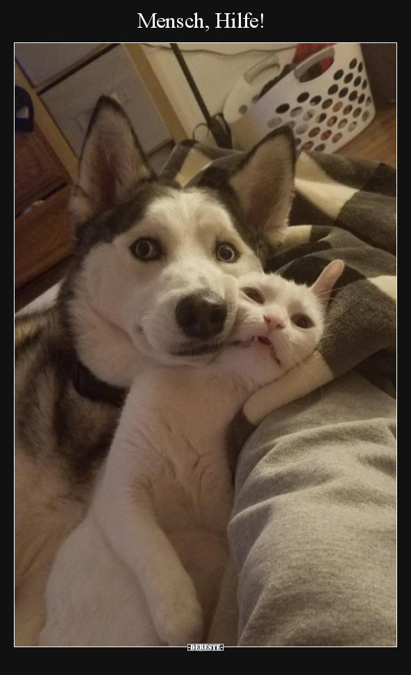 Mensch, Hilfe!