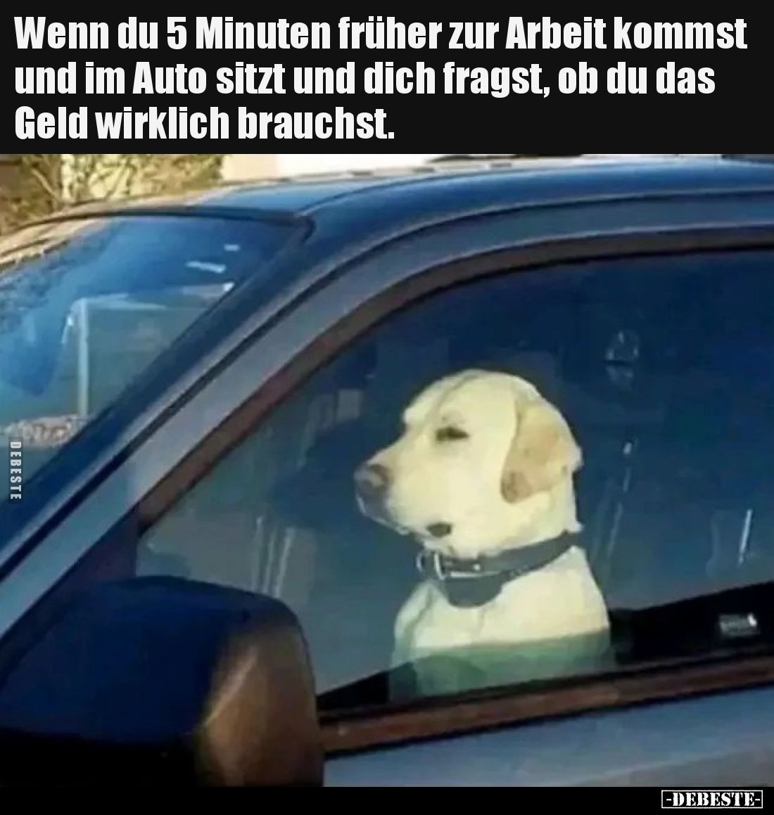 Wenn du 5 Minuten früher zur Arbeit kommst und im Auto.. - Lustige Bilder | DEBESTE.de